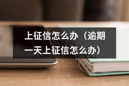 上征信怎么办（逾期一天上征信怎么办）