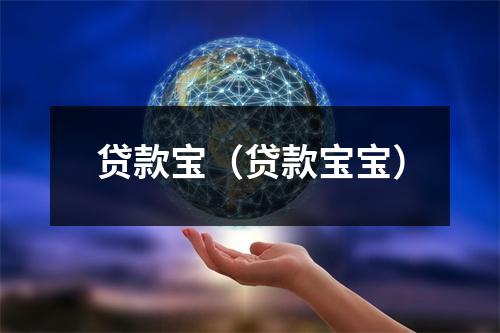 贷款宝(贷款宝宝)