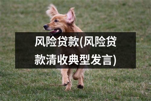 风险贷款(风险贷款清收典型发言)