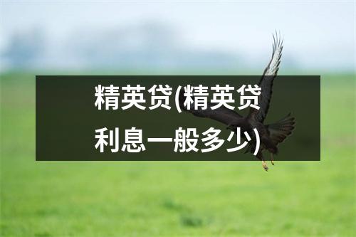 精英贷(精英贷利息一般多少)