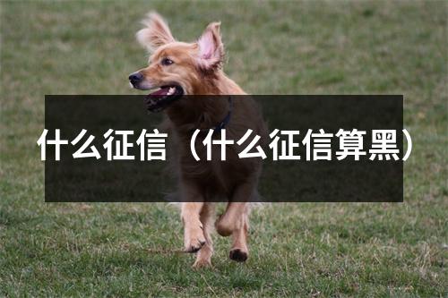 什么征信（什么征信算黑）