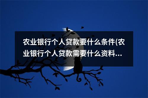 农业银行个人贷款要什么条件(农业银行个人贷款需要什么资料)