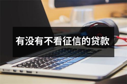有没有不看征信的贷款 