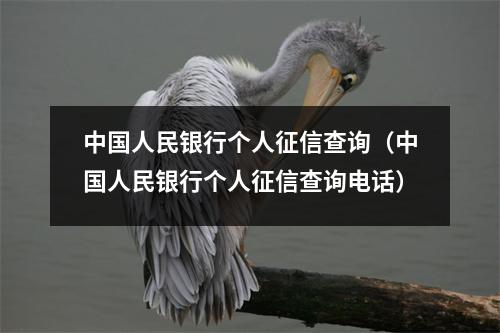 中国人民银行个人征信查询（中国人民银行个人征信查询电话）