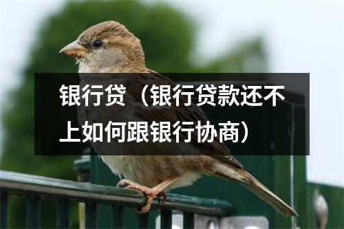 银行贷（银行贷款还不上如何跟银行协商）