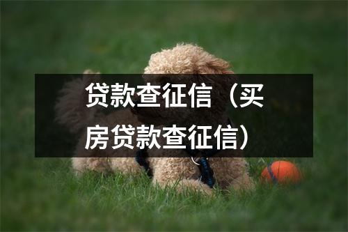 贷款查征信（买房贷款查征信）
