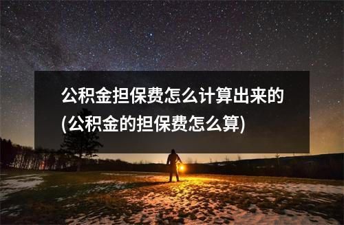 公积金担保费怎么计算出来的(公积金的担保费怎么算)