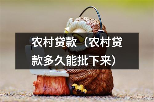 农村贷款(农村贷款多久能批下来)