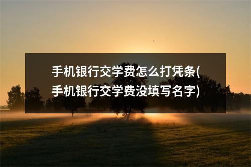 手机银行交学费怎么打凭条(手机银行交学费没填写名字)