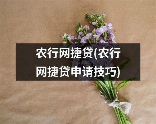 农行网捷贷(农行网捷贷申请技巧)