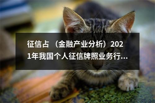 征信占 （金融产业分析）2021年我国个人征信牌照业务行业市场规模分析.docx