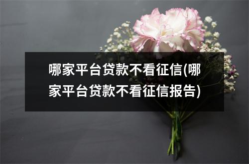 哪家平台贷款不看征信(哪家平台贷款不看征信报告)