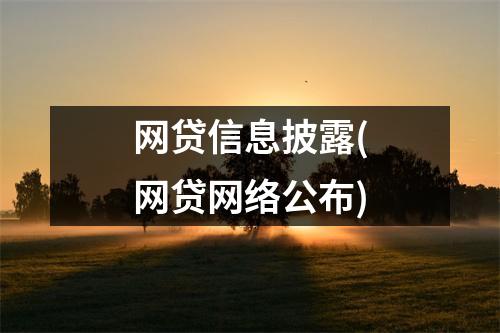 网贷信息披露(网贷网络公布)