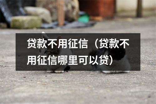 贷款不用征信(贷款不用征信哪里可以贷)