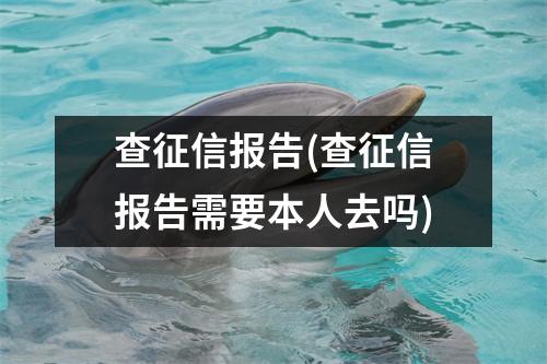 查征信报告(查征信报告需要本人去吗)