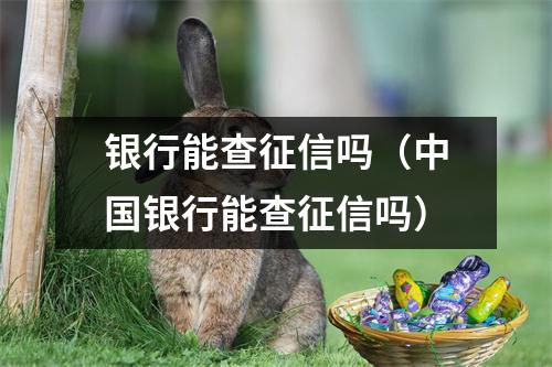 银行能查征信吗（中国银行能查征信吗）