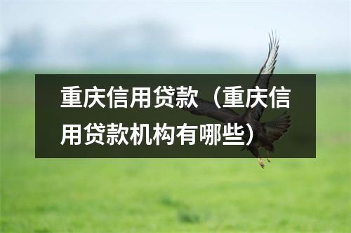 重庆信用贷款（重庆信用贷款机构有哪些）