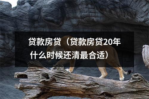 贷款房贷(贷款房贷20年 什么时候还清最合适)