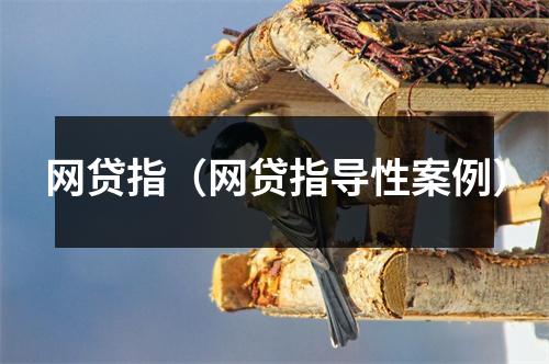 网贷指（网贷指导性案例）