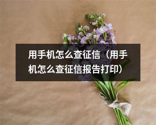 用手机怎么查征信（用手机怎么查征信报告打印）