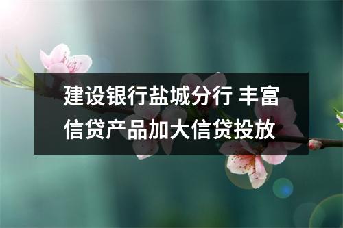建设银行盐城分行 丰富信贷产品加大信贷投放