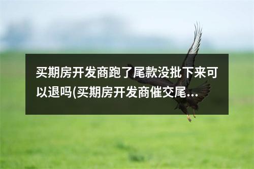 买期房开发商跑了尾款没批下来可以退吗(买期房开发商催交尾款怎样处理)