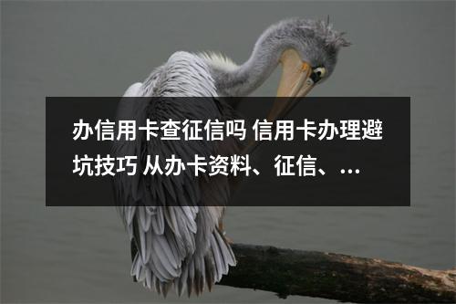 办信用卡查征信吗 信用卡办理避坑技巧 从办卡资料、征信、负债、到选择银行 手把手教你稳定下卡 