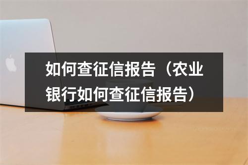 如何查征信报告(农业银行如何查征信报告)