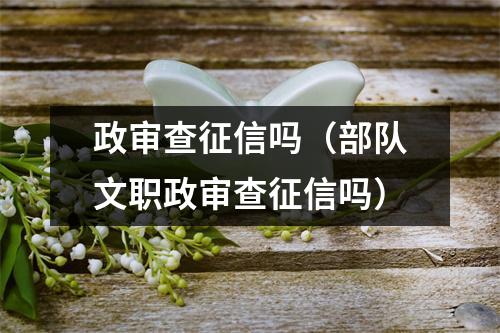 政审查征信吗（部队文职政审查征信吗）