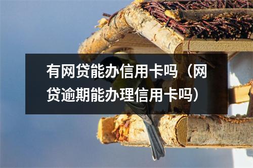 有网贷能办信用卡吗(网贷逾期能办理信用卡吗)