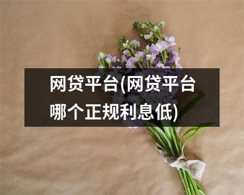 网贷平台(网贷平台哪个正规利息低)
