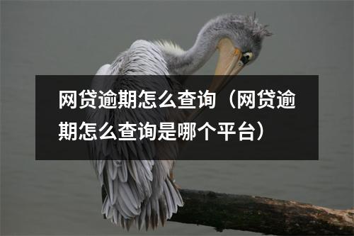 网贷逾期怎么查询（网贷逾期怎么查询是哪个平台）