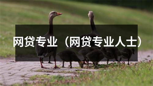 网贷专业（网贷专业人士）