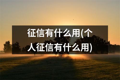 征信有什么用(个人征信有什么用)