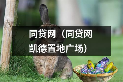 同贷网(同贷网 凯德置地广场)