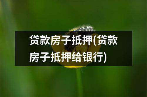 贷款房子抵押(贷款房子抵押给银行)