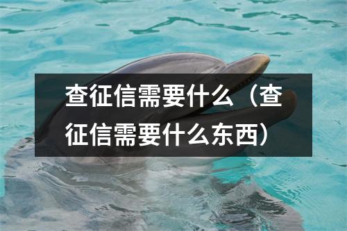 查征信需要什么(查征信需要什么东西)