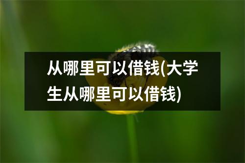 从哪里可以借钱(大学生从哪里可以借钱)