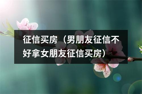 征信买房（男朋友征信不好拿女朋友征信买房）
