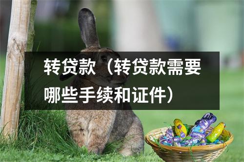 转贷款（转贷款需要哪些手续和证件）