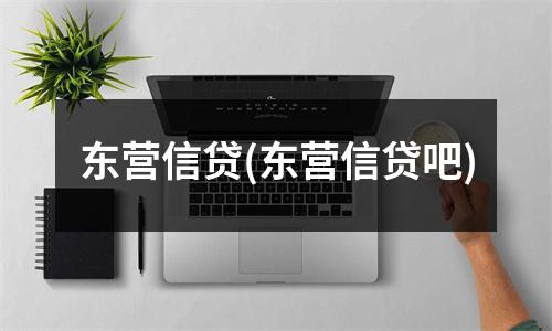 东营信贷(东营信贷吧)
