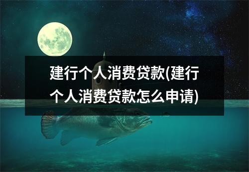 建行个人消费贷款(建行个人消费贷款怎么申请)