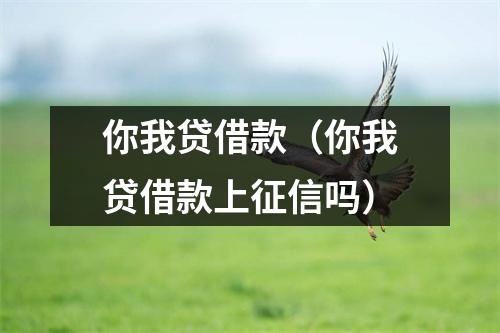 你我贷借款（你我贷借款上征信吗）