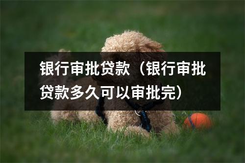 银行审批贷款(银行审批贷款多久可以审批完)