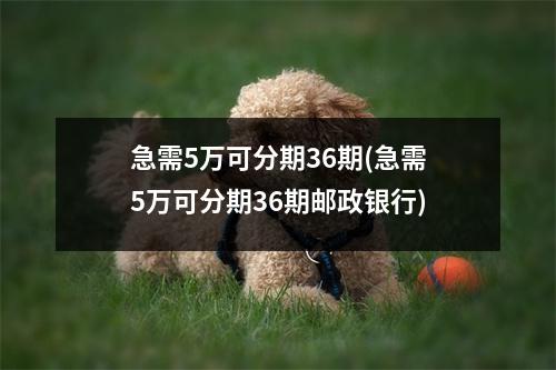 急需5万可分期36期(急需5万可分期36期邮政银行)