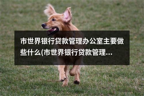 市世界银行贷款管理办公室主要做些什么(市世界银行贷款管理办公室主要做些什么业务)
