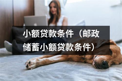 小额贷款条件（邮政储蓄小额贷款条件）