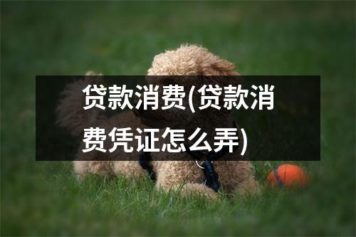 贷款消费(贷款消费凭证怎么弄)
