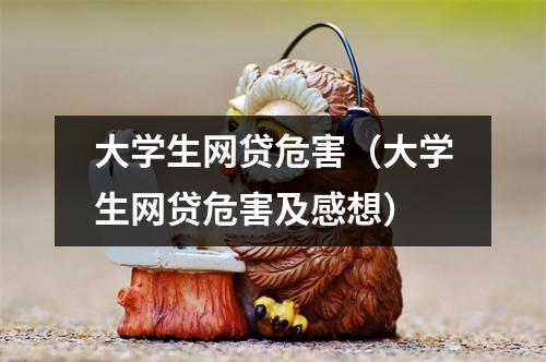 大学生网贷危害（大学生网贷危害及感想）