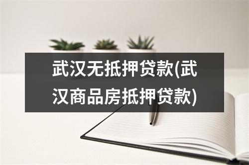 武汉无抵押贷款(武汉商品房抵押贷款)